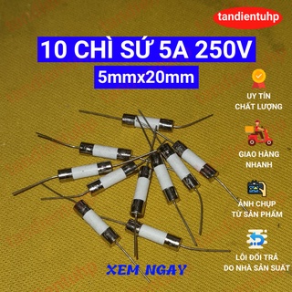 10 CHIẾC CẦU CHÌ SỨ CHÂN CẮM KÍCH THƯỚC 5mm x 20mm 5A 250V