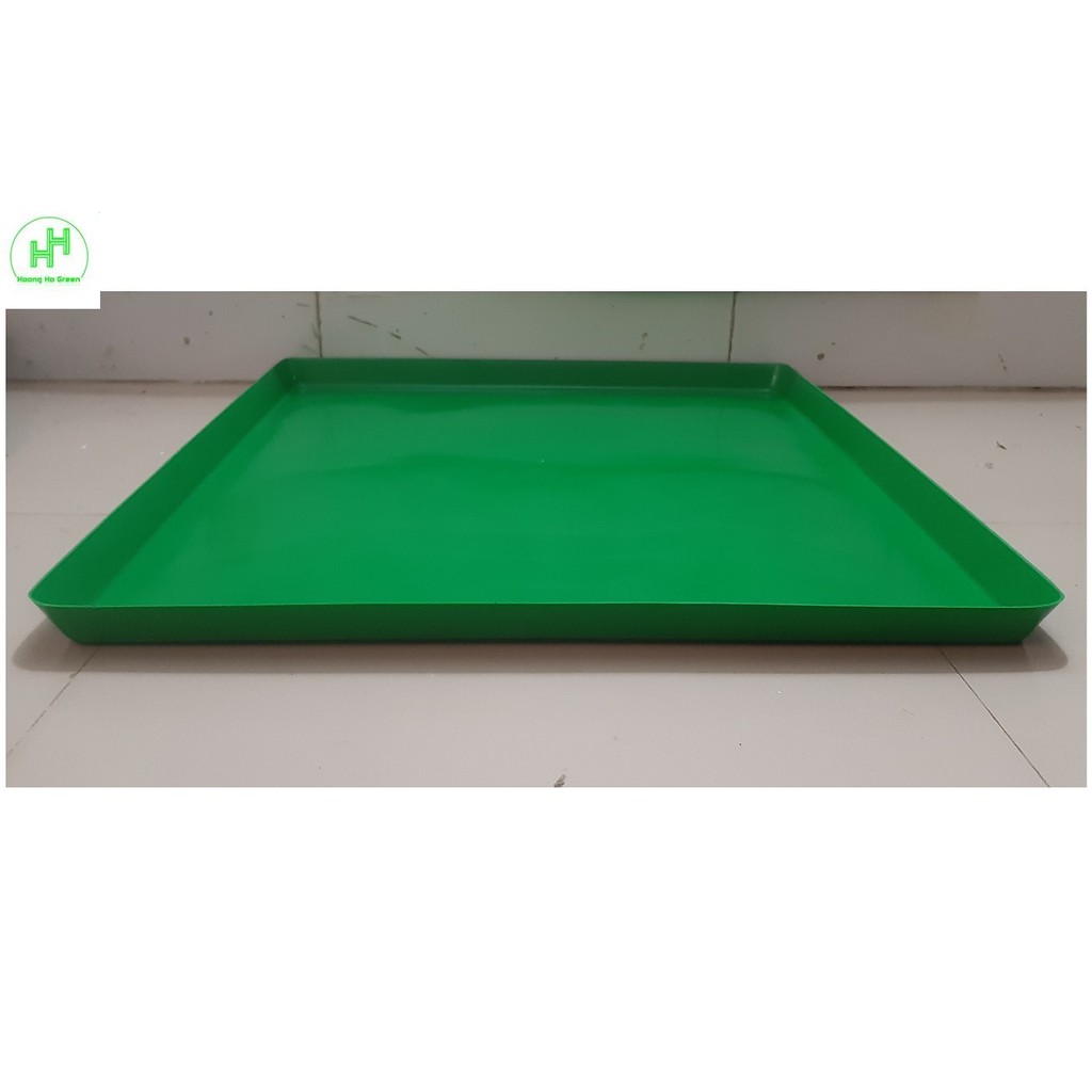 20 Khay/Máng Hứng Phân Chim, Khay Đựng Phân Gà, Khay Hứng Phân Chim Bồ Câu, Kích Thước 49x49Cm