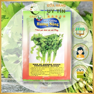 Hạt Giống Ngò Rí gói 20gram năng suất cao dễ trồng