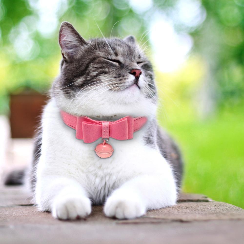 Vòng Cổ Bằng Da Đính Nơ Xinh Xắn Cho Thú Cưng