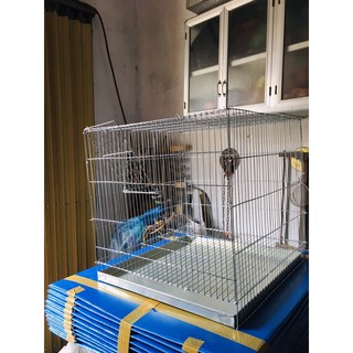 Combo 2 lồng nuôi gà,chim, mèo nan mau loại đa năng, không khay tôn.