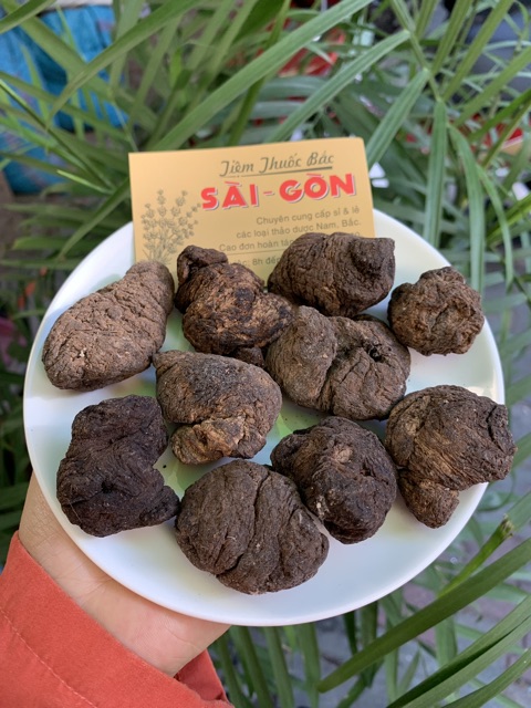 Củ Sinh Địa - Sanh Địa Loại Thượng Hạng 100g (Củ To, Thơm, Hàng Xuất Khẩu)