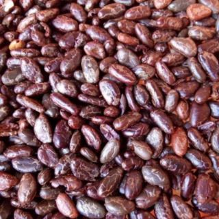 Bột cacao nguyên chất!!!