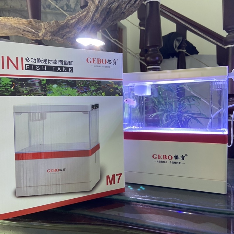 Bể cá mini để bàn Bể cá thủy sinh mini + Vật liệu lọc