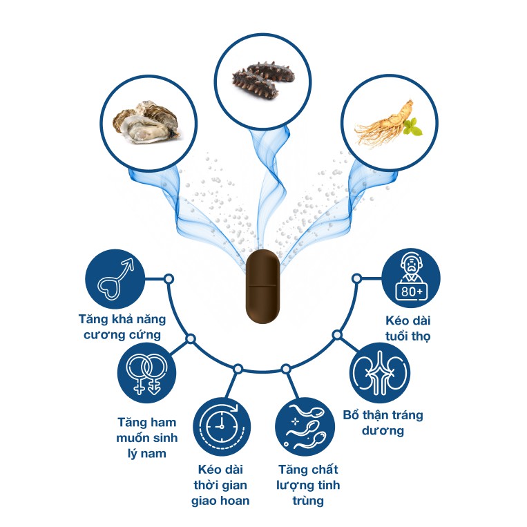 Hàu Biển OB New - Tinh Chất Hàu, Hải Sâm, Nhân Sâm, Cải Thiện, Tăng Khả Năng Sinh Lý Nam ( Hộp 20 Viên ) | BigBuy360 - bigbuy360.vn