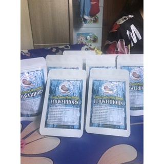 Bột tôm trộn dành cho cá la hán(Combo powder mixed shrimp)