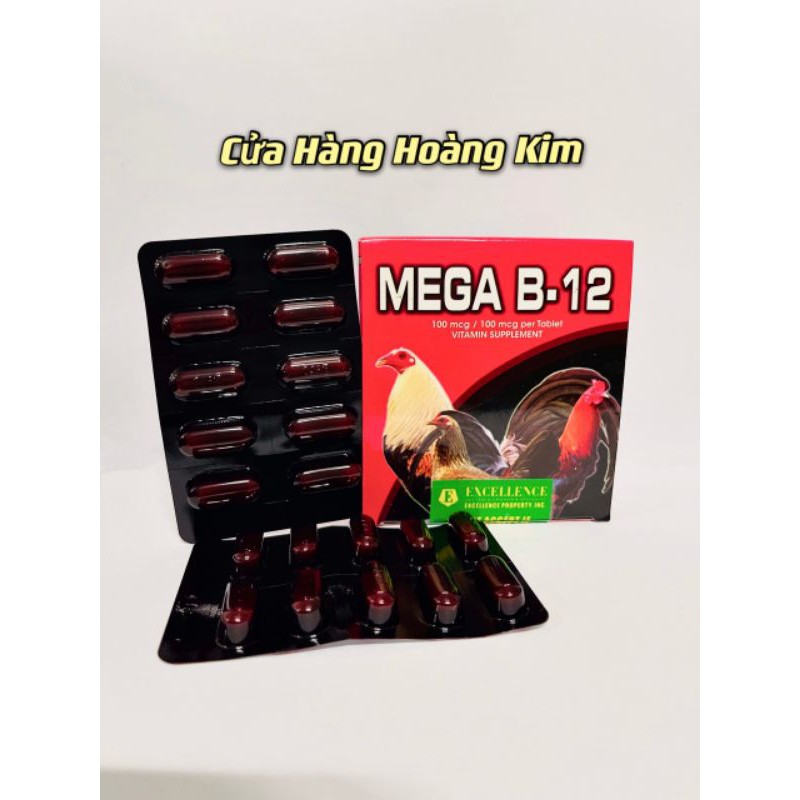 Mega B12 Hộp 10 vỉ