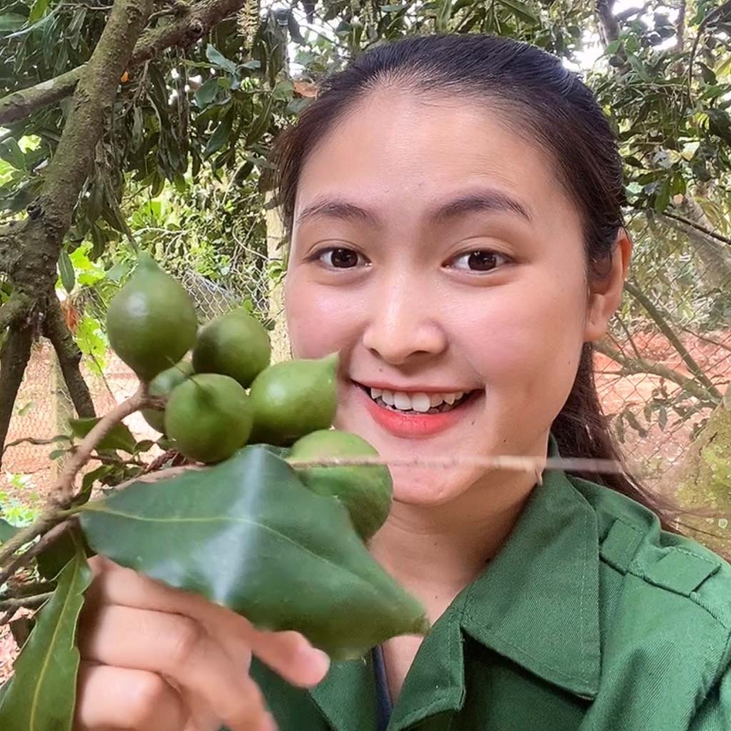 Hạt Macca nứt vỏ Organic Daklak giòn tan không hôi dầu kèm tách vỏ túi zip 1kg từ mắc ca Trang Ở Daklak