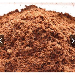 GIÁ THỂ MÙN XƠ DỪA (DỪA NGHIỀN)