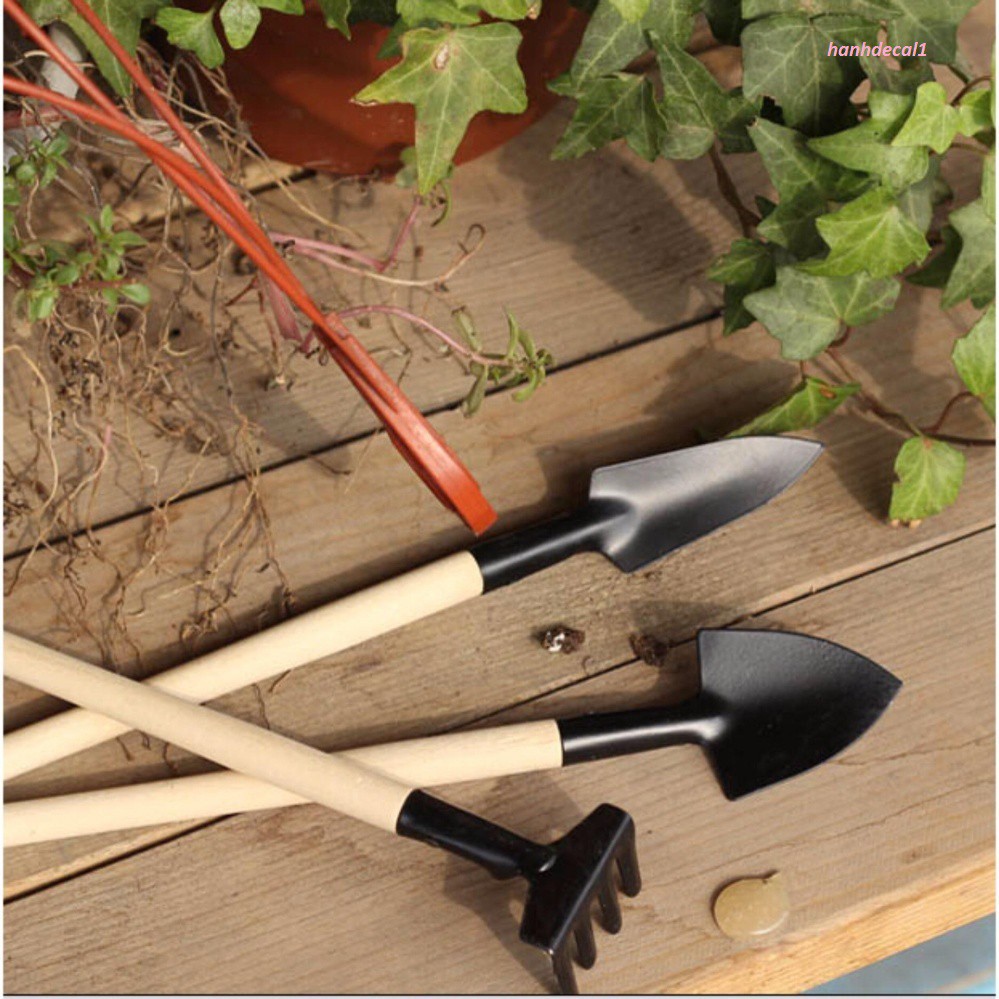 Bộ cuốc xẻng mini trồng cây cảnh , dụng cụ làm vườn 3 món tiện dụng
