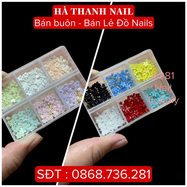 [ Có Sẵn ] Hoa Khô Nhí , Hoa Bi , Hoa Sứ Làm Nail Mix 6 Màu Có 2 Mẫu