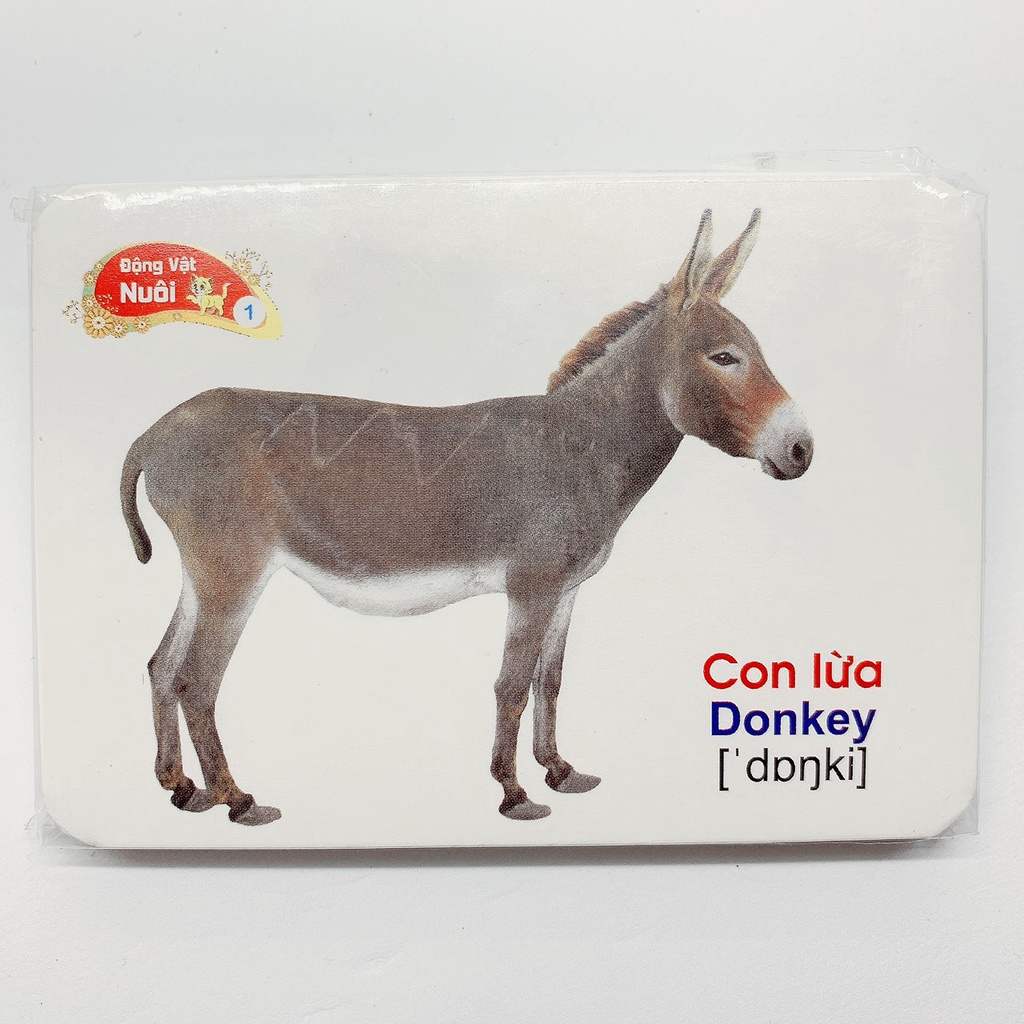 Bộ thẻ học FLASH CARD 16 chủ đề song ngữ Anh - Việt (có phiên âm) 416 thẻ giúp bé làm quen với thế giới xung quanh