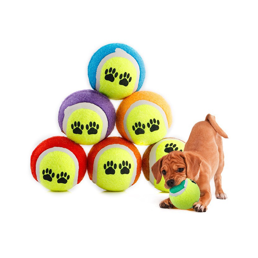 ⚾️Đồ chơi bóng tennis cho chó ⚽️