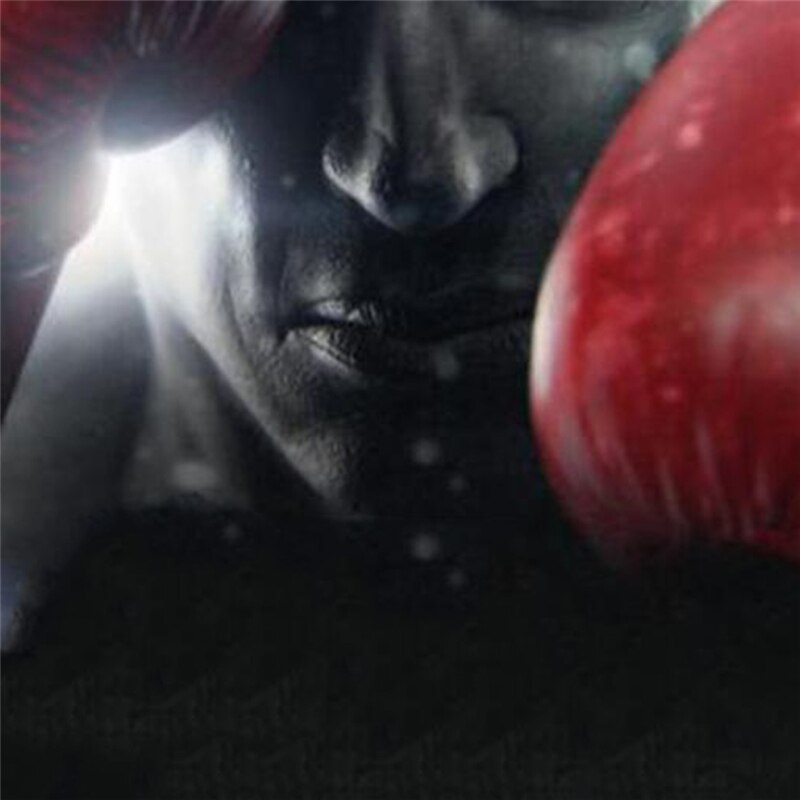 1 Đôi Găng Tay Tập Boxing Chuyên Nghiệp Cho Nam Nữ