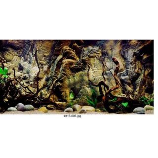 Tranh 3D bể cá (kt 60x40; 80x50 90x45;100x50;100x60;130x60cm)