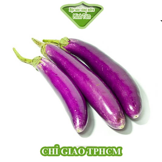 Cà tím tươi ngon loại 1 [CHỈ GIAO TP.HCM]