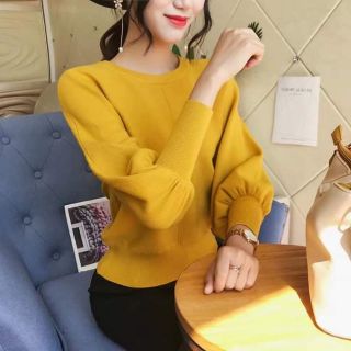 Áo Len tay bồng