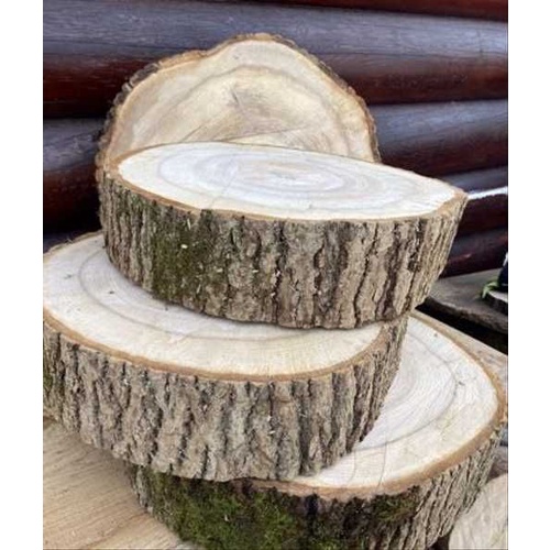 🌵Lát Gỗ 10-15cm Decor, Chụp Hình, Lót Đồ Ăn🪵