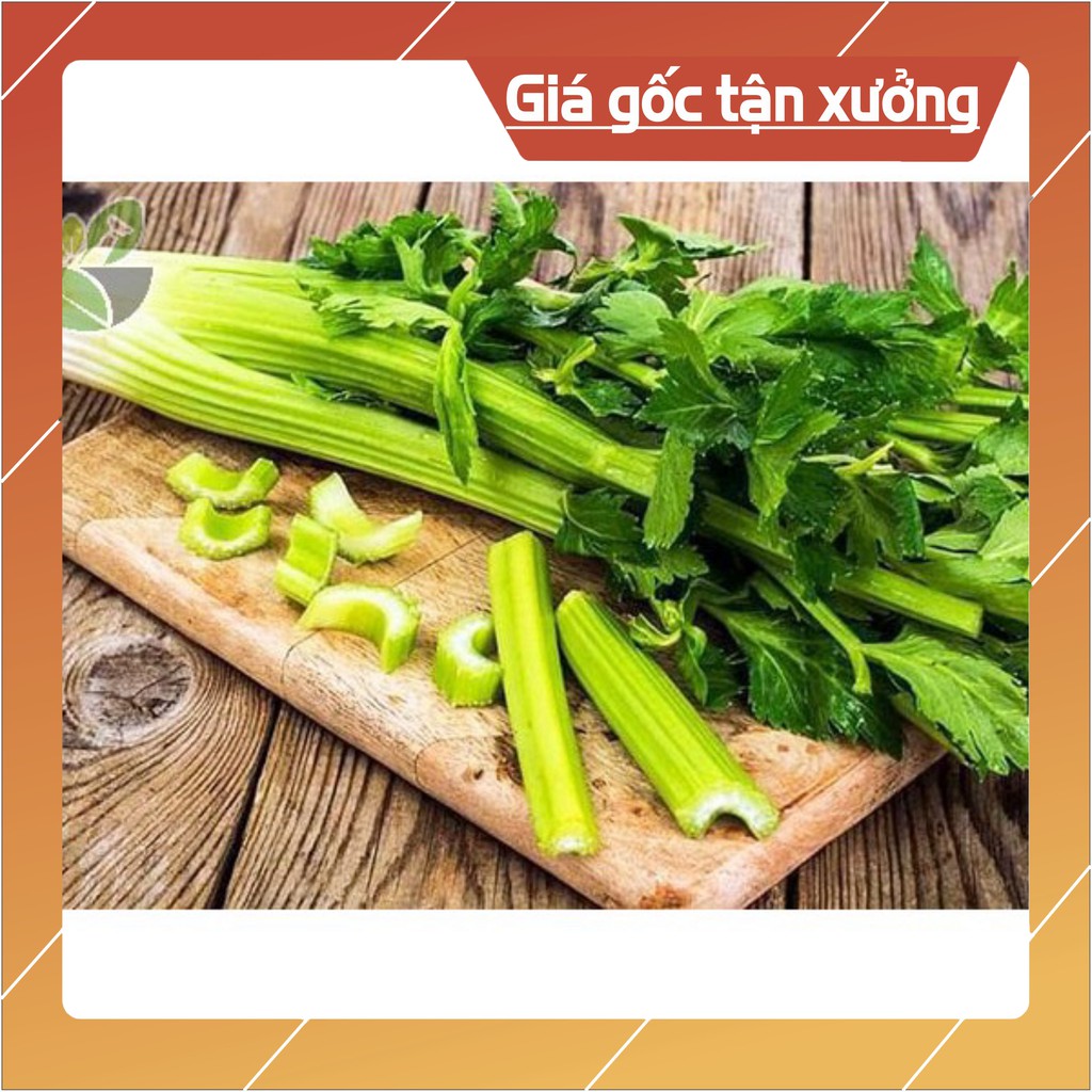 10gr Hạt Giống Rau Cần Tây Xanh Chịu Nhiệt, Năng Suất (Hàng Loại 1)