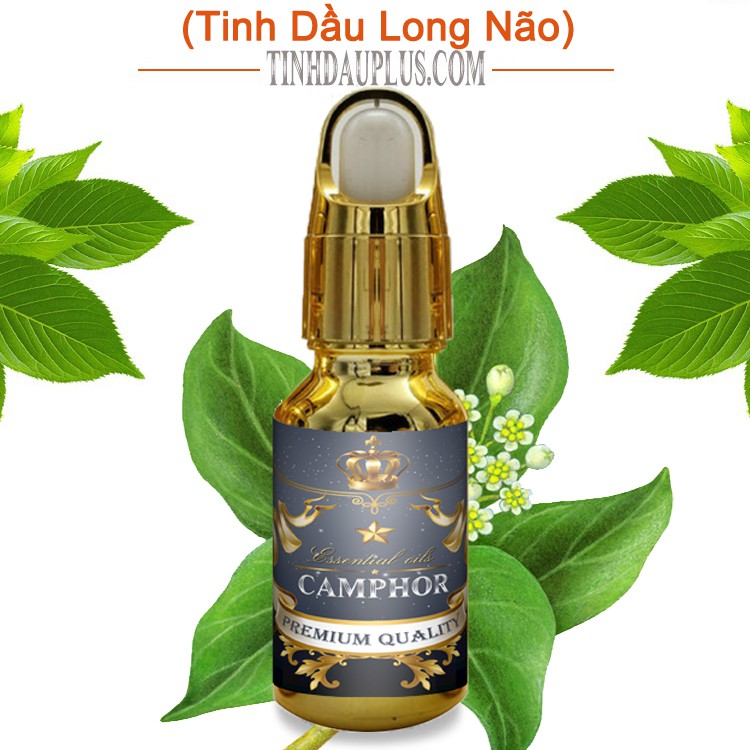 Tinh dầu long não nguyên chất