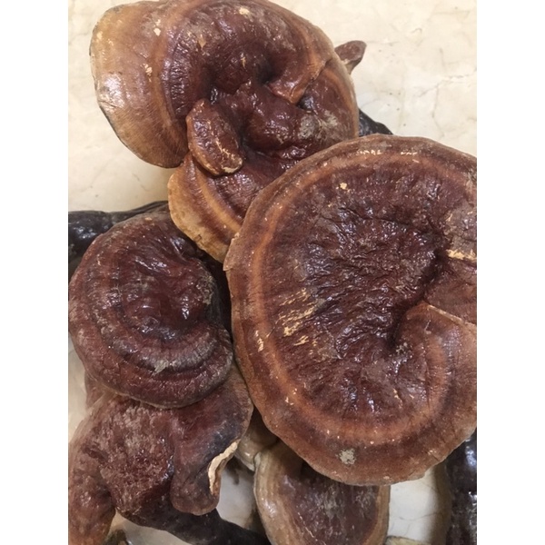 100g Nấm Lim Xanh