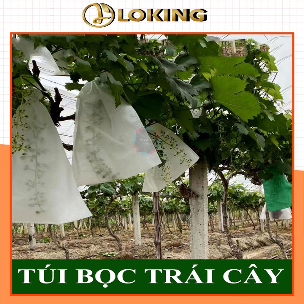 Túi bọc hoa quả, trái cây, dây kẽm và dây rút, 100 túi/sp