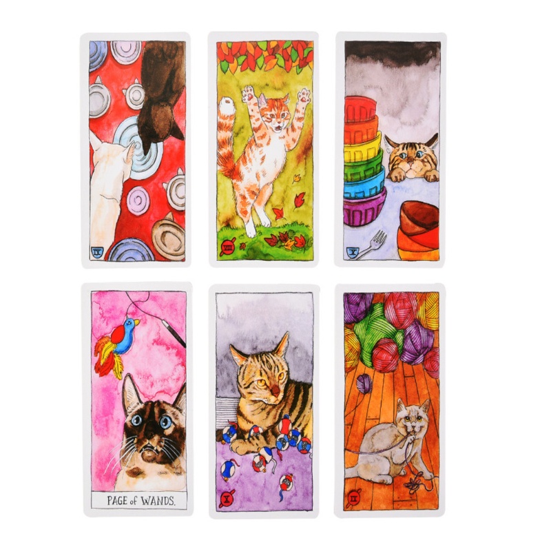 Bộ Bài Tarot 78 Lá Hình Mèo Dễ Thương
