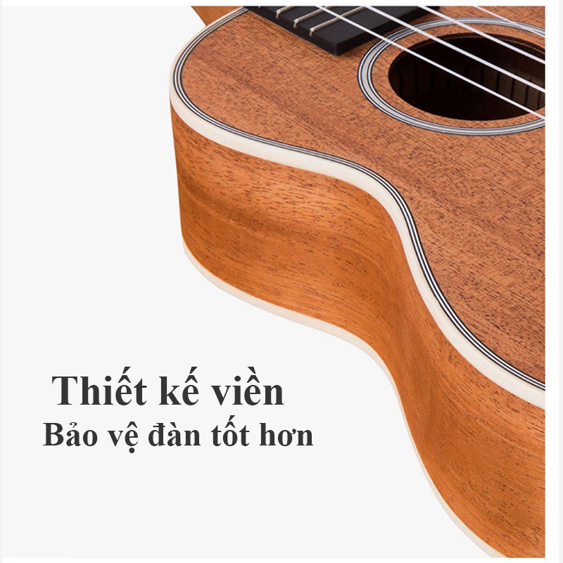 Đàn Ukulele Concert 23inch Gỗ Gụ Nguyên Khối Đa Dạng Hình Full Phụ kiện - Đàn Ukulele - TB42