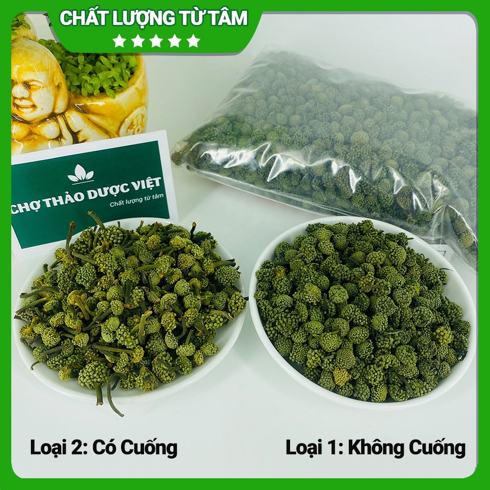 100g Nụ hoa tam thất bao tử, không cuống, loại 1 xanh thơm đẹp - Chợ Thảo Dược Việt