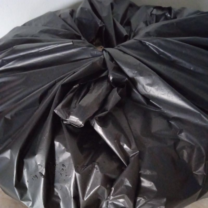 túi 500gam ích mẫu phơi khô