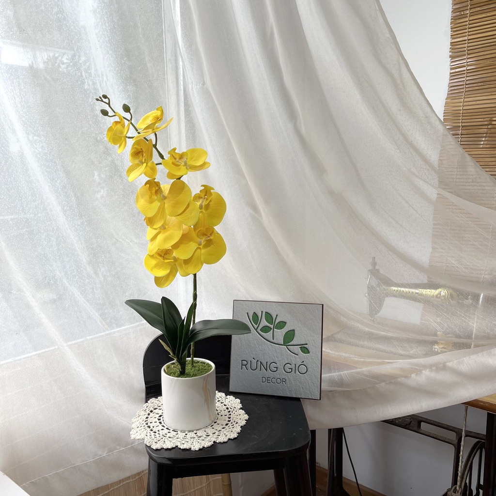 Set chậu Lan Hồ Điệp , hoa lan cao su nhân tạo cao cấp mã Set14