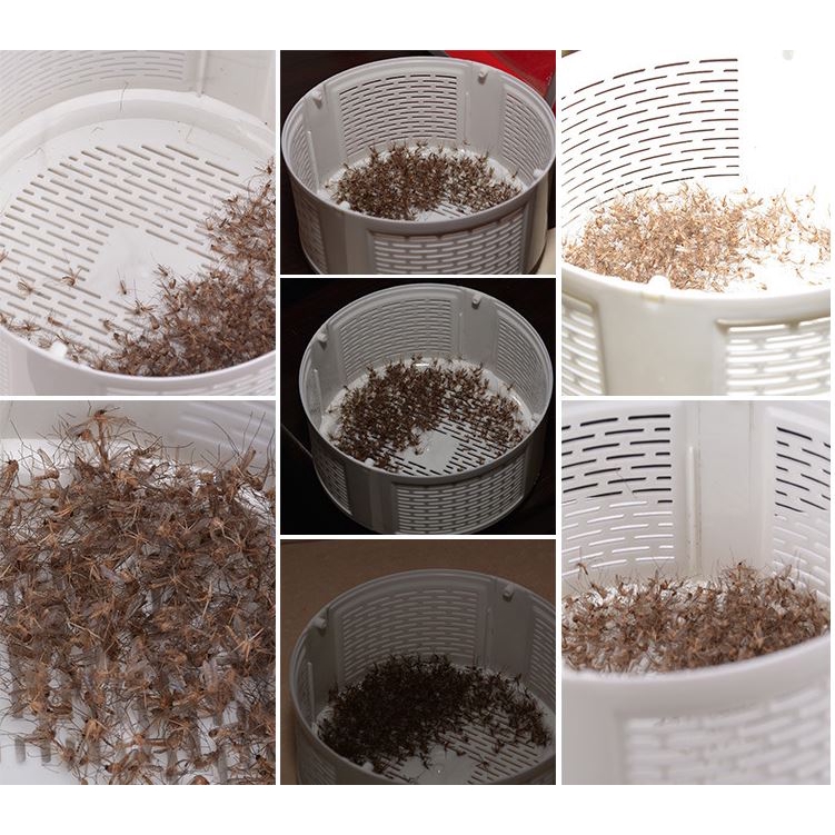 [FREESHIP 50K] ĐÈN BẮT MUỖI THÔNG MÌNH HÌNH TRỤ ĐBM -BM01