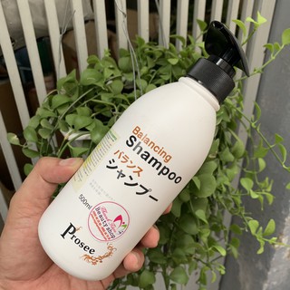 Dầu gội dành cho tóc gàu chống dầu, chống rụng tóc Prosee Balancing Shampoo AS13 500ml [ Fanola ]