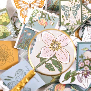 Hộp 46 miếng sticker mẫu con bướm retro