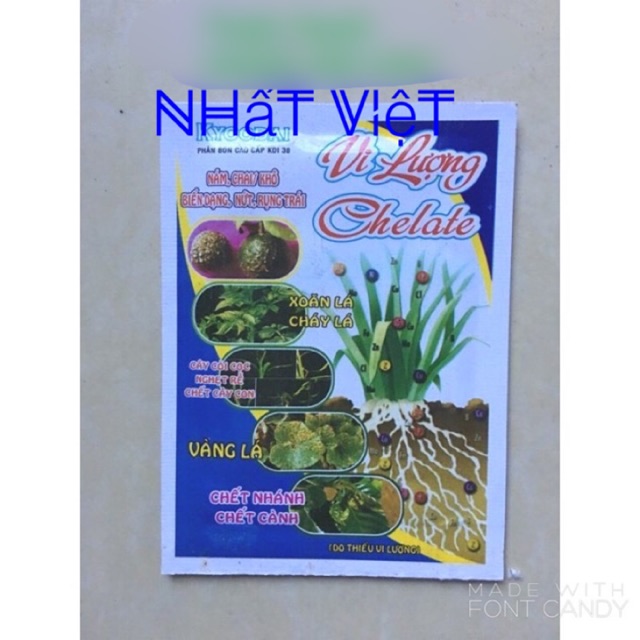 [HÀ NỘI] Phân bón vi lượng Chelate, Chống xoăn - cháy - vàng lá, Hỗ trợ cây còi cọc - nghẹt rễ &amp; chiết ghép nhánh cành