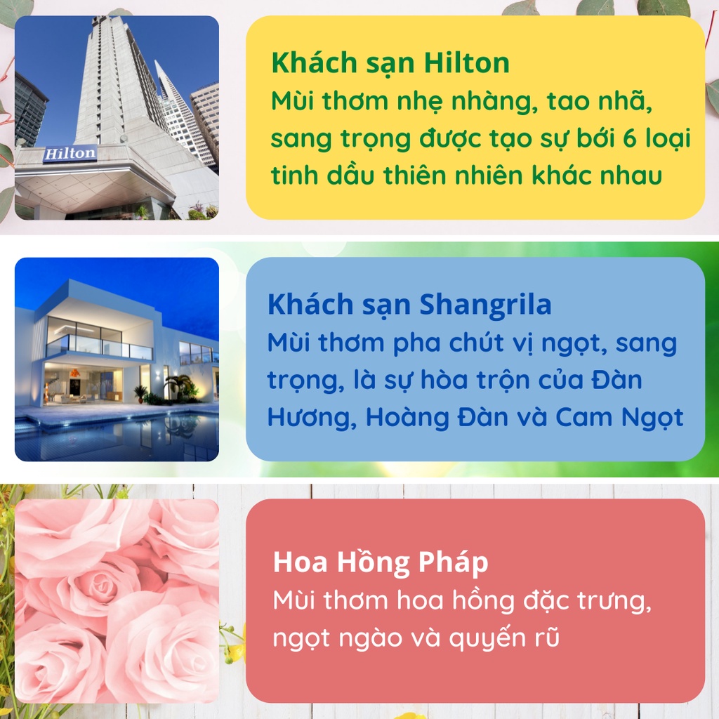 Lọ Tinh Dầu Thơm Để Phòng Khuếch Tán Nước Hoa Thơm Phòng Thiên Nhiên Tán Hương B&amp;W KT18