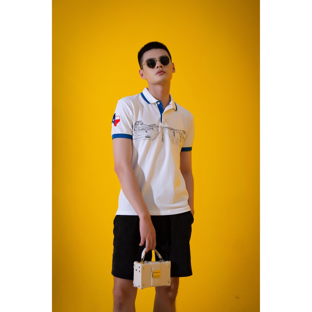 Áo polo nam trơn cổ trụ Hình in 3d  thun cao cấp from chuẩn thiết kế phong cách sang trọng,AREMI  APL0015 | BigBuy360 - bigbuy360.vn