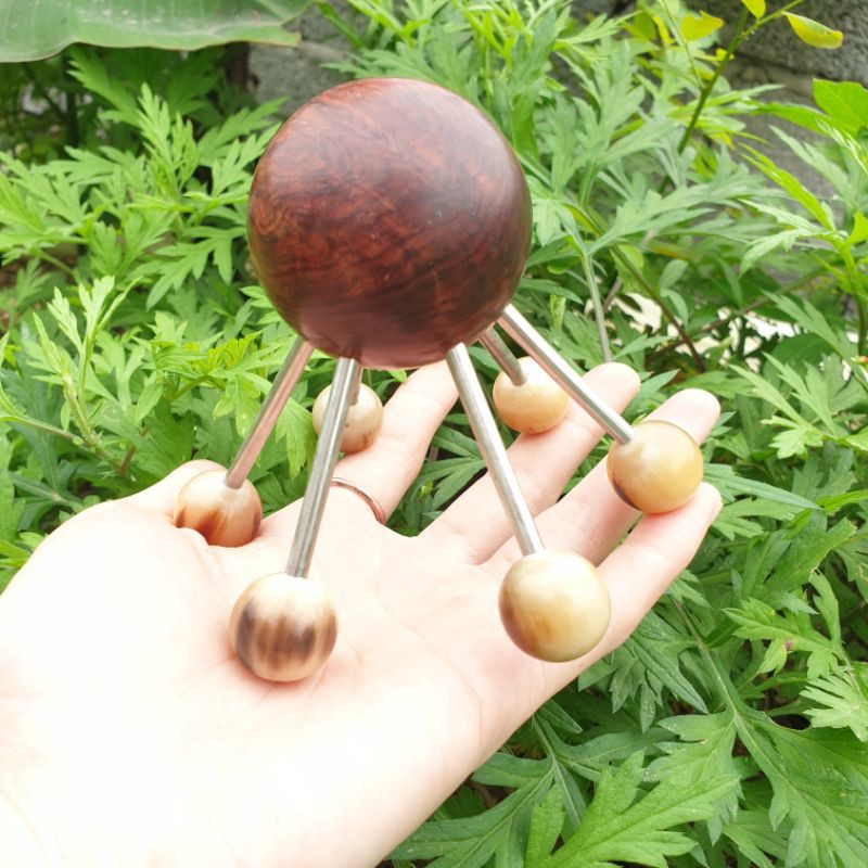 nhện đa năng sừng lớn ( bi to gỗ cẩm,6 bi nhỏ sừng)