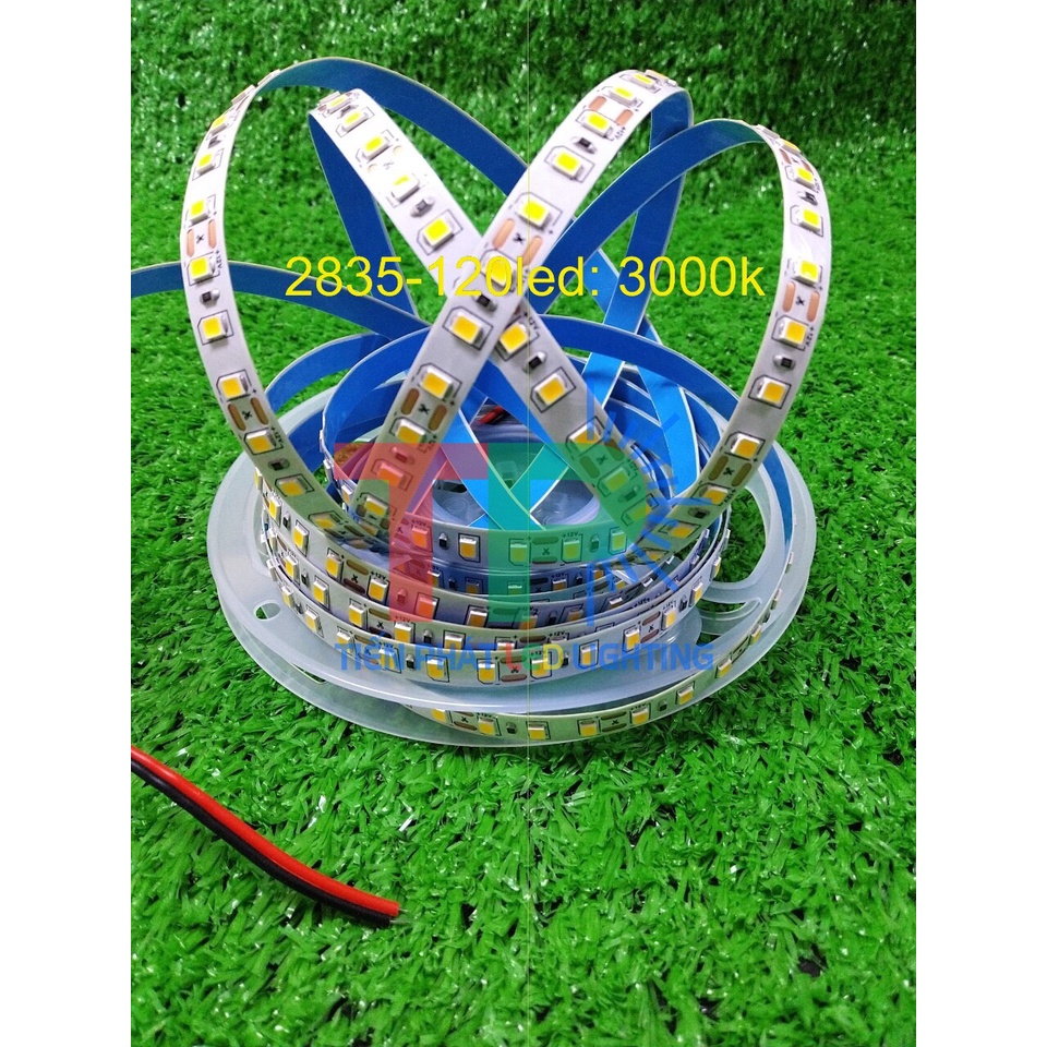 Led dây dán 12v SMD 2835-120 Led/m 5m 6500k-4000k-3000k, Led siêu sáng giá rẻ loại tốt trang trí tủ bếp, kệ trưng bày
