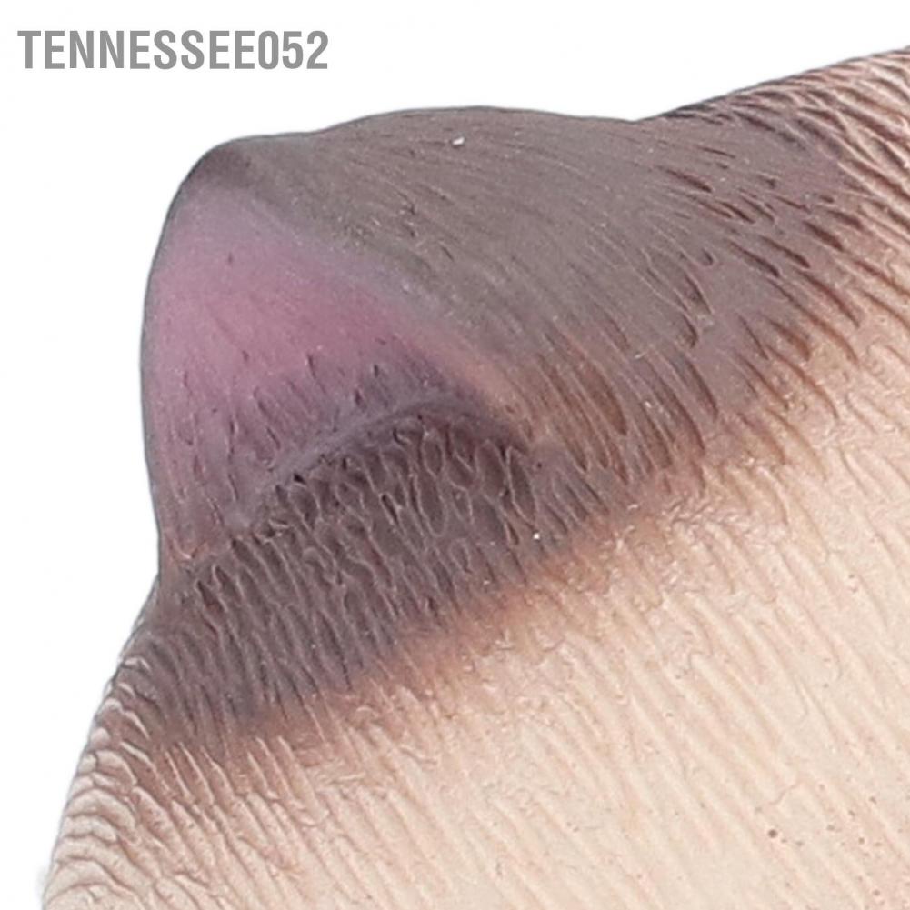 Mô hình chú mèo dễ thương để bàn trang trí bằng nhựa resin