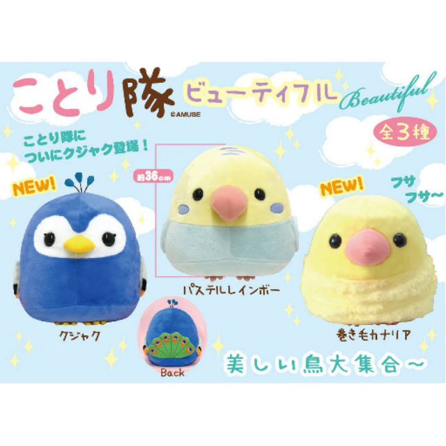 Chim tròn Kotori hàng chính hãng amuse nhật bản