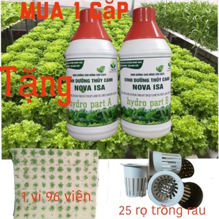 Khuyến mại : dung dịch trồng rau thuỷ canh nova isa