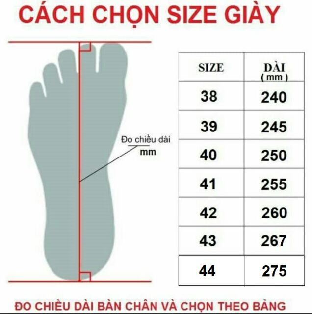 GIÀY CẦU LÔNG CAO CẤP PROWIN