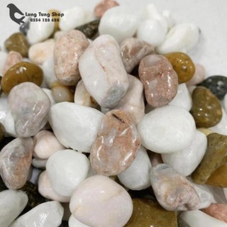 Đá sỏi hỗn hợp ( chọn size )