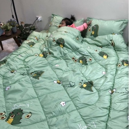 Trọn bộ 5 món chăn phao trần bông ga chun vỏ gối poly cotton mẫu mới