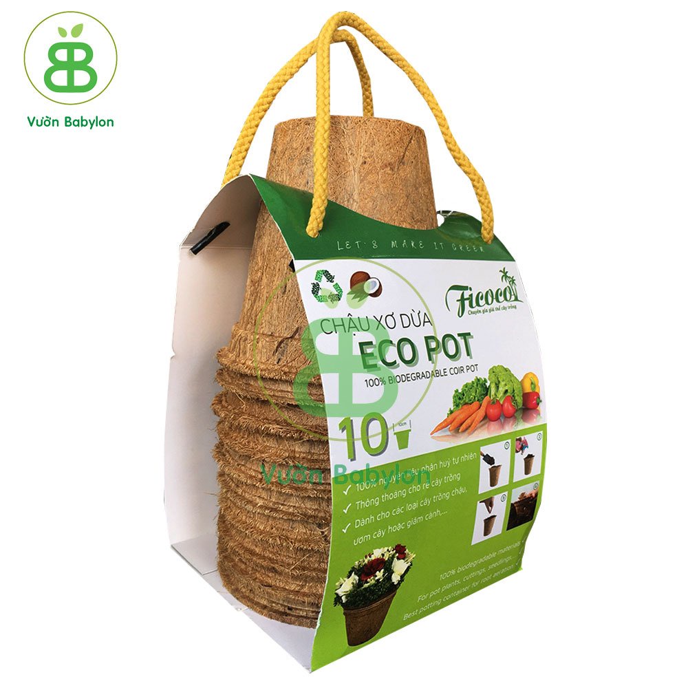 Sét 10 Cái Chậu Xơ Dừa Trồng Cây - Chậu Xơ Dừa Trang Trí Nhà Cửa