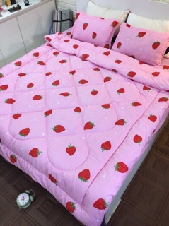 Combo set 5 món Chăn Hè chất Polycotton