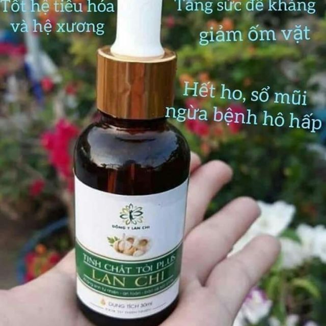 TÍNH CHẤT TỎI LAN CHI