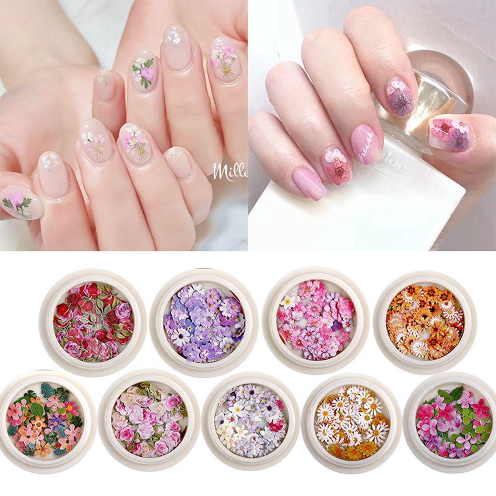 Hộp Kim Tuyến 3D Siêu Mỏng Hình Hoa Cúc / Bột Gỗ Lấp Lánh Trang Trí Móng Nghệ Thuật SOFTNESS