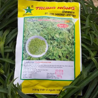 Hạt giống đậu xanh cao sản siêu hạt TN 208